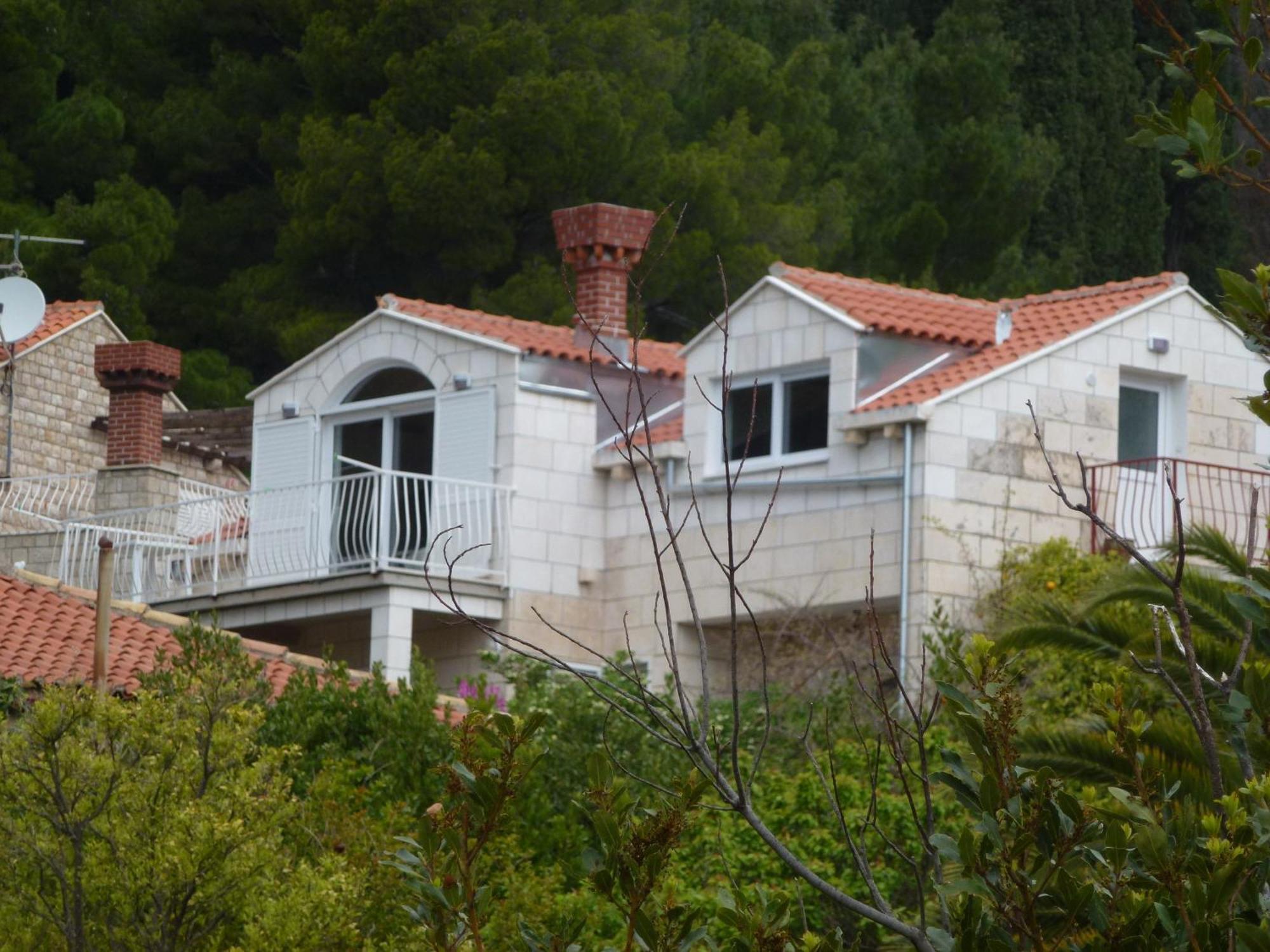 Apartment Fede Mlini
