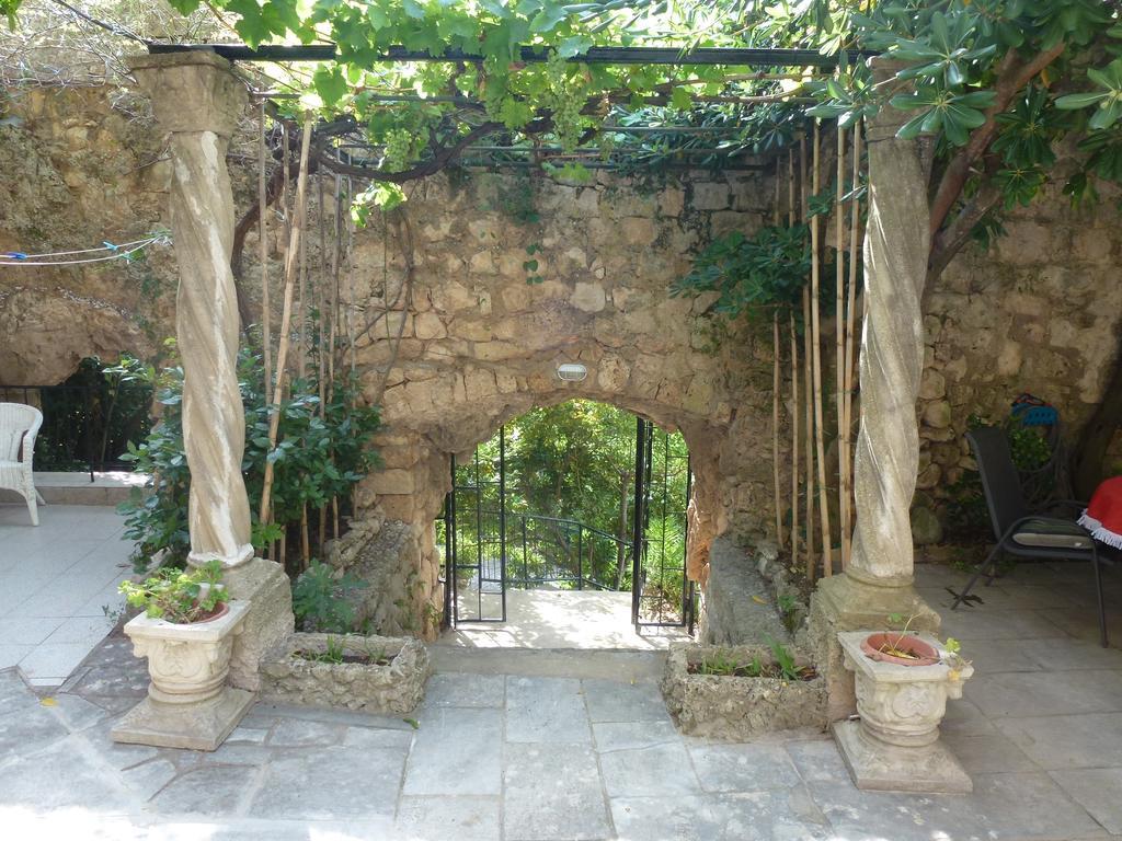 Fede Mlini